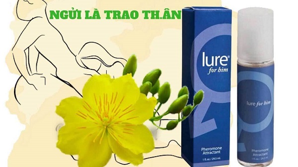 Nước hoa kích dục cho nữ Lure For Him hà nội