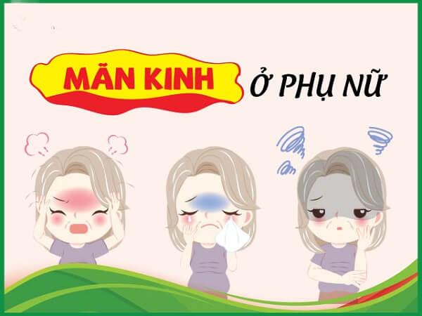 Gel Bôi Trơn Kích Dục Provocative 1 Gel Provocative gel bôi trơn tăng khoái cảm và kích thích cho nữ giới