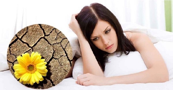  Gel Kích Dục Excite Woman Cực Mạnh Lên Đỉnh Nhanh