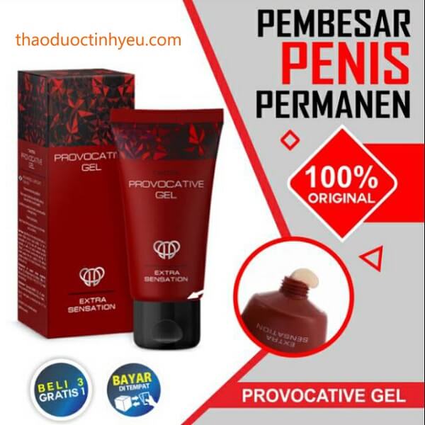 Gel Bôi Trơn Kích Dục Provocative 27 Thành phần của Gel Provocative